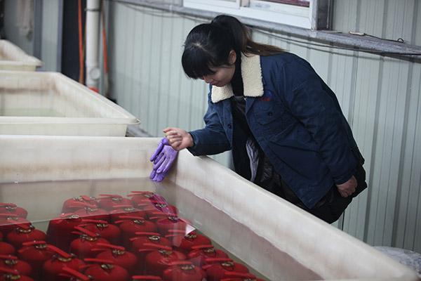 사용하기가 쉬운 세이프웨이 DC01 Abc 6 킬로그램 소화기 CE 승인되 빨갛습니다 10